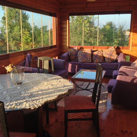 Pigal Hotel Сапанджа Екстериор снимка